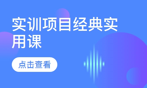 实训项目经典实用课